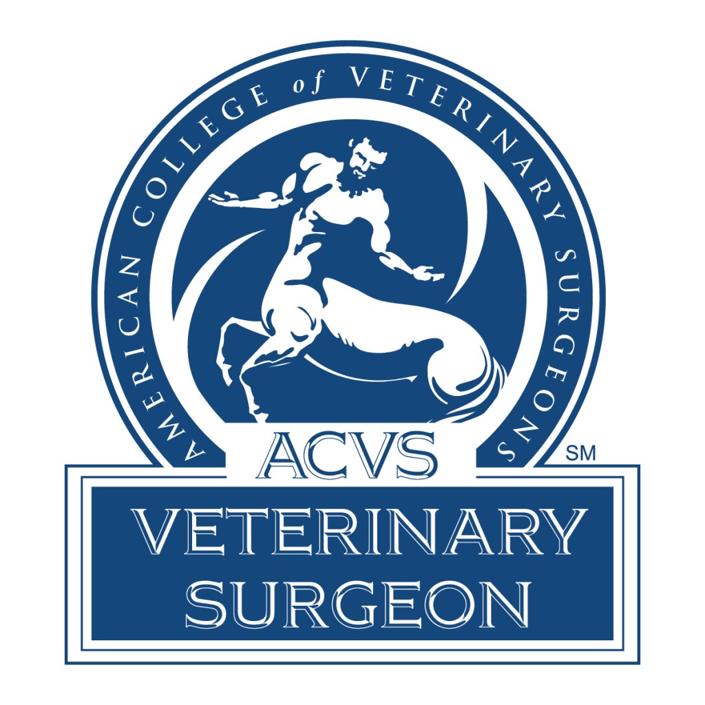 ACVS_logo.30860249